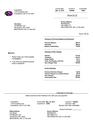 Invoice with summary.pdf